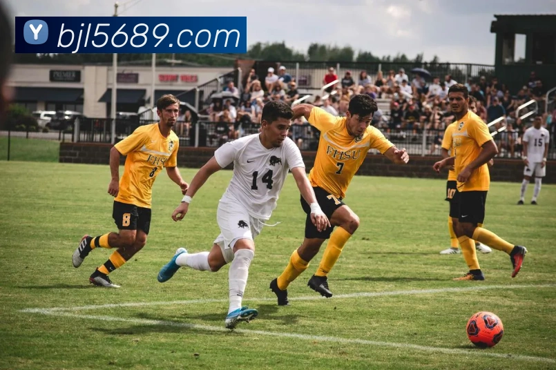 百家乐网站发展历程